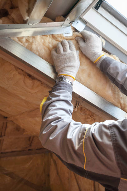 Best Insulation Installation Services in Torrance, CA